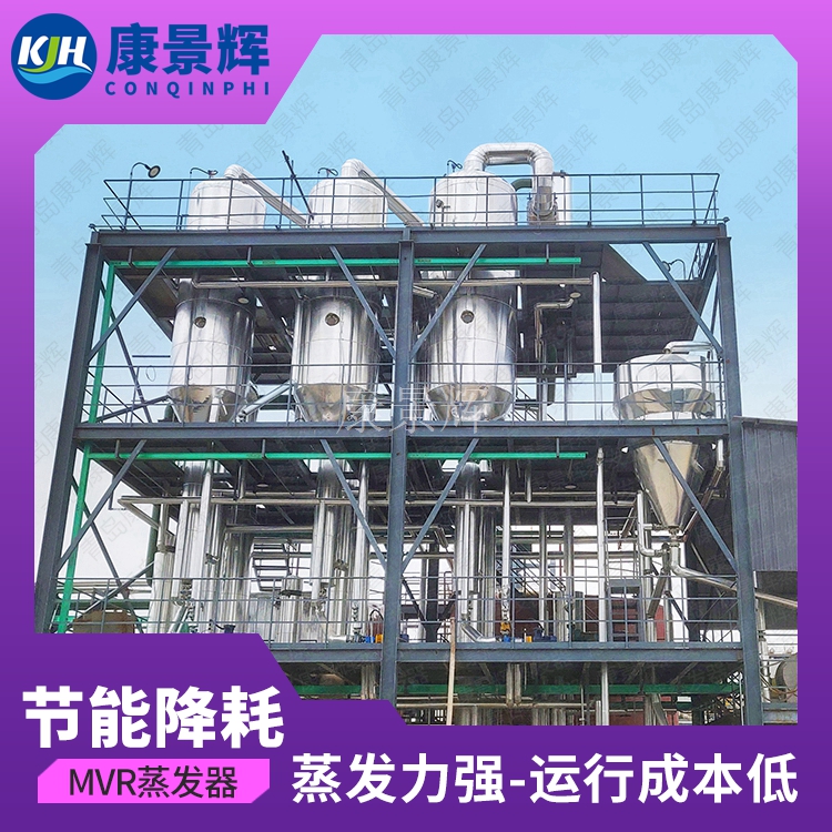 甘氨酸結晶母液蒸發系統